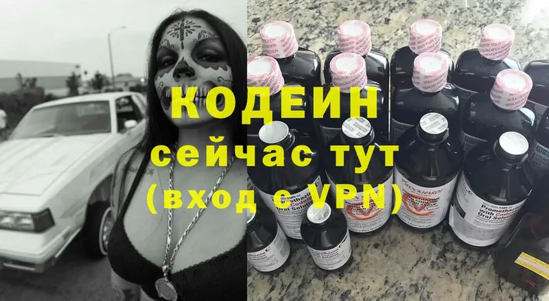 купить наркотик  Елизово  Кодеиновый сироп Lean Purple Drank 