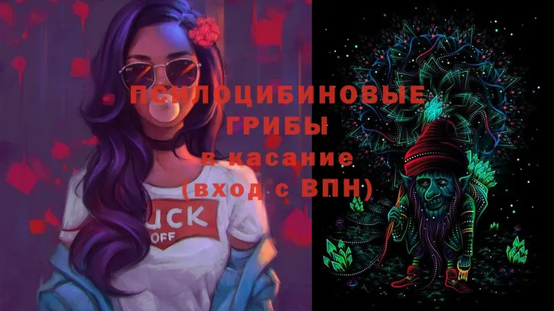 Галлюциногенные грибы MAGIC MUSHROOMS  Елизово 